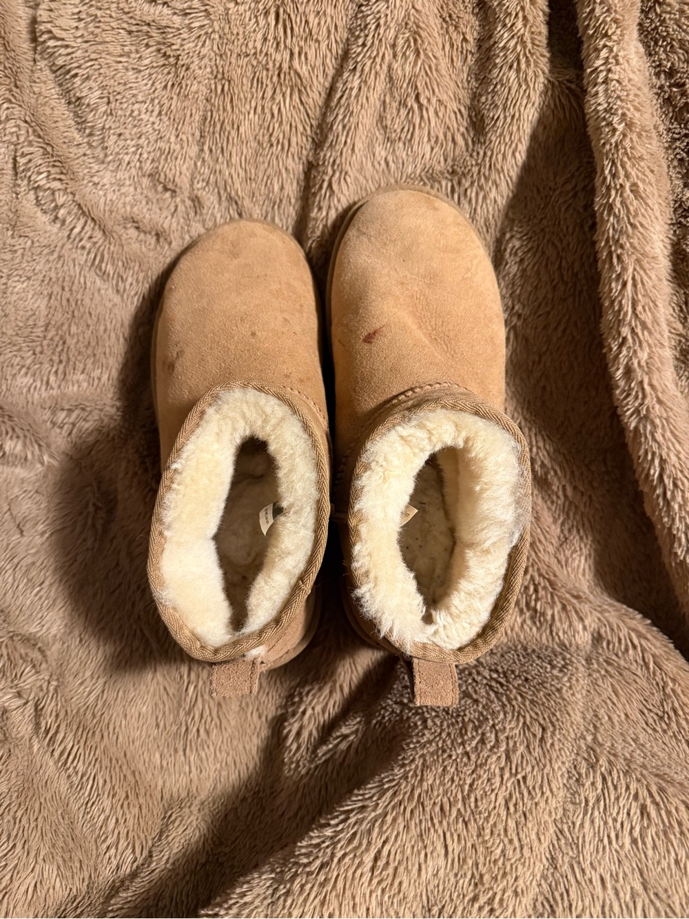 Ultra mini Ugg boots chestnut